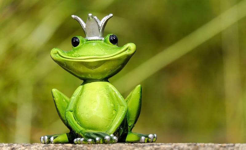 Prince Charming suit